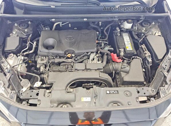 2T3P1RFV1MW216623 2021 TOYOTA RAV4 Black Вид задньої частини салону