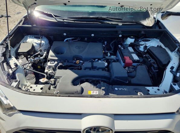 2T3P1RFV1SC567661 2025 TOYOTA RAV4 White Սալոնի հետևի տեսք