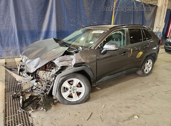 2T3P1RFV2KC030037 2019 TOYOTA RAV4 Gray 