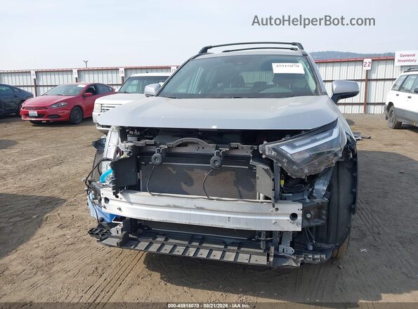 2T3P1RFV2RC484511 2024 TOYOTA RAV4 Silver Вид задньої частини салону