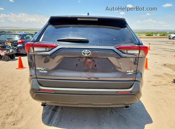 2T3P1RFV2SC563845 2025 TOYOTA RAV4 Gray Հետևի տեսք