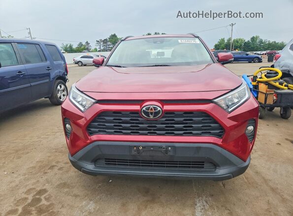 2T3P1RFV3MW248036 2021 TOYOTA RAV4 Бордовый Вид спереди