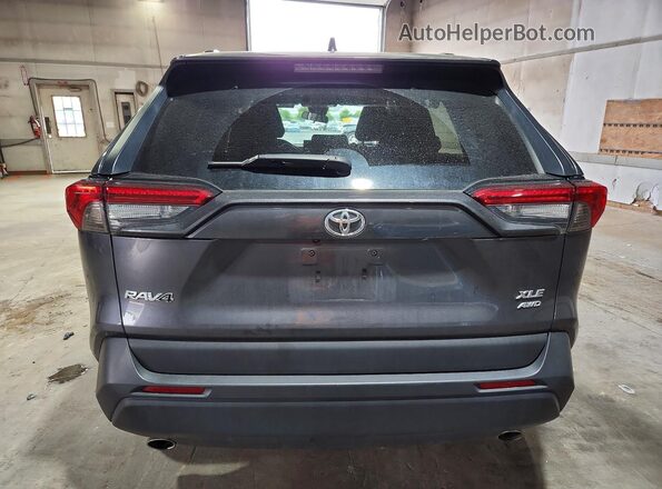 2T3P1RFV4LC077233 2020 TOYOTA RAV4 Charcoal Rear view