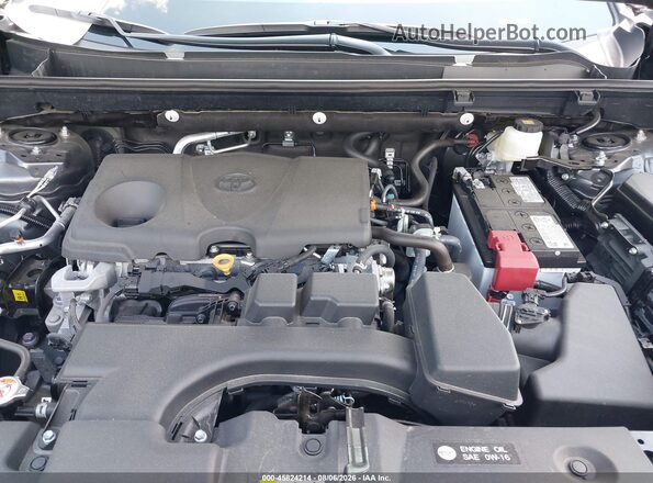 2T3P1RFV4SW621789 2025 TOYOTA RAV4 Gray Widok z tyłu