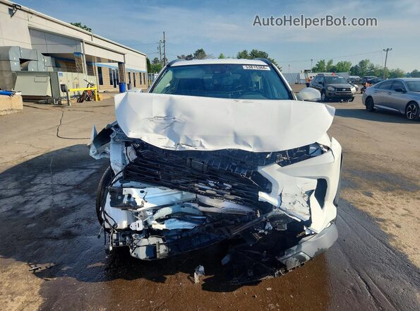 2T3P1RFV5NW254843 2022 TOYOTA RAV4 Белый Вид спереди
