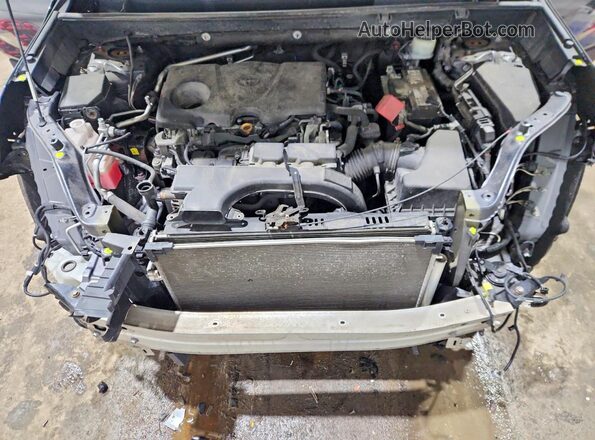2T3P1RFV7KW057765 2019 TOYOTA RAV4 Charcoal Սալոնի հետևի տեսք