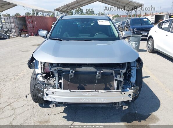 2T3P1RFV7LC105980 2020 TOYOTA RAV4 Gray Вид задньої частини салону