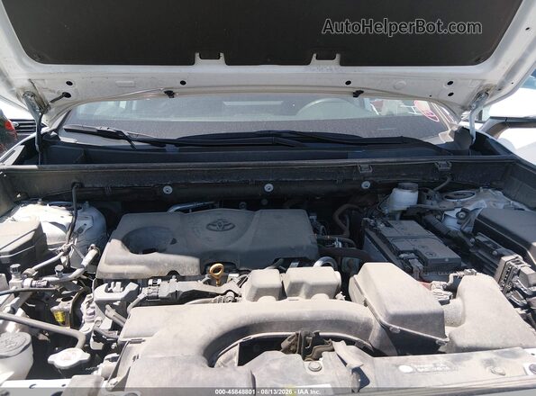 2T3P1RFV7RW430118 2024 TOYOTA RAV4 White Հետևի տեսք