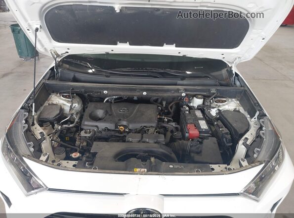 2T3P1RFV8LC119810 2020 TOYOTA RAV4 White Вид ззаду