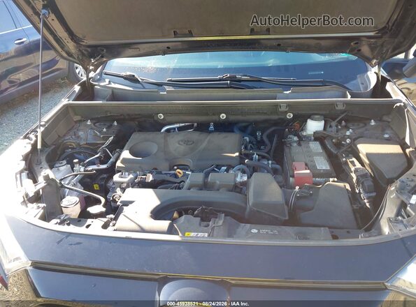 2T3P1RFV8PW364885 2023 TOYOTA RAV4 Черный Вид сзади