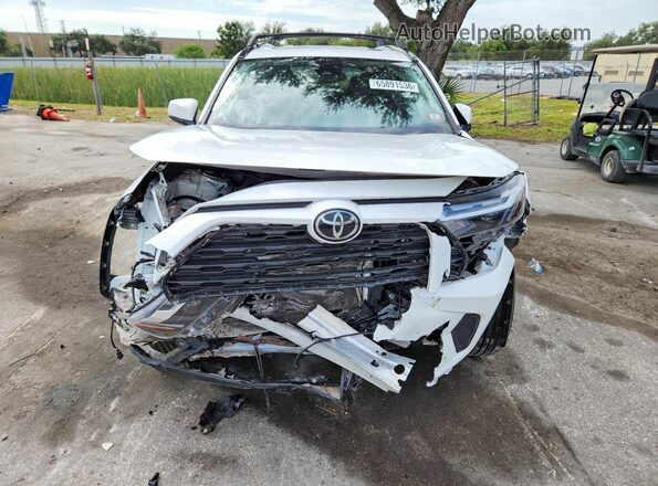 2T3P1RFVXRC433550 2024 TOYOTA RAV4 White Widok z przodu