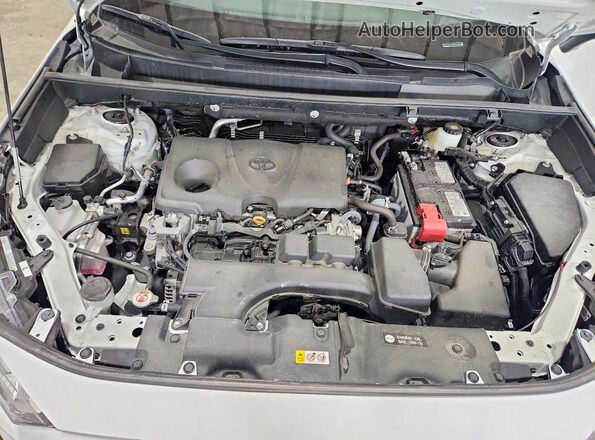 2T3P1RFVXRC452390 2024 TOYOTA RAV4 White Սալոնի հետևի տեսք