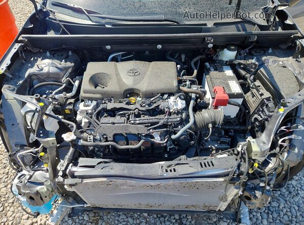 2T3P1RFVXSW614684 2025 TOYOTA RAV4 Gray Սալոնի հետևի տեսք