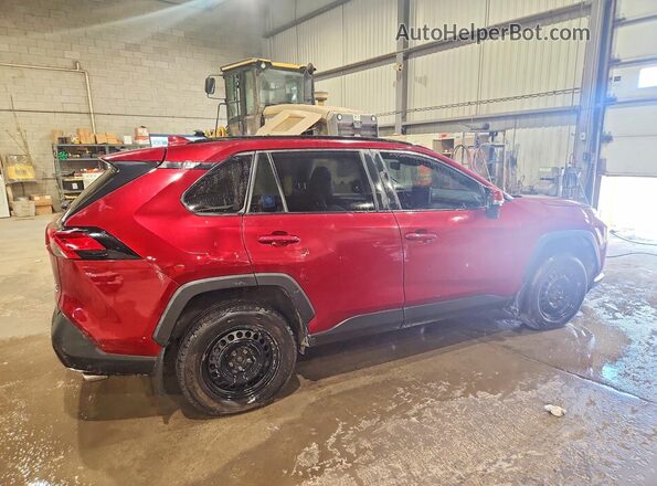 2T3R1RFV0PW351377 2023 TOYOTA RAV4 Red Tył prawy