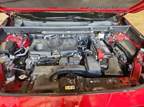 2T3R1RFV0PW351377 2023 TOYOTA RAV4 Red Widok wnętrza z tyłu