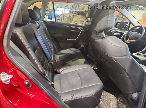 2T3R1RFV0PW351377 2023 TOYOTA RAV4 Red Widok tylnych siedzeń