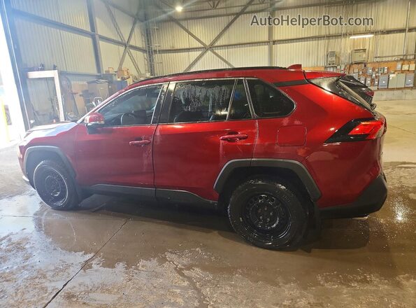 2T3R1RFV0PW351377 2023 TOYOTA RAV4 Red Tył lewy
