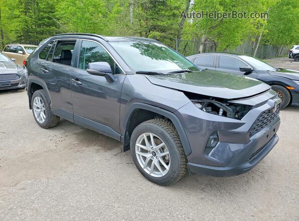 2T3R1RFV2PC355254 2023 TOYOTA RAV4 Gray Delantero derecho