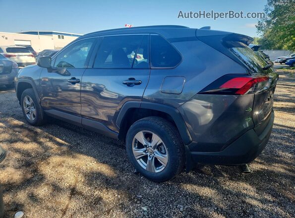 2T3R1RFV5RC485046 2024 TOYOTA RAV4 Gray Հետևի ձախ