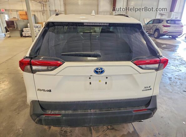 2T3R6RFV3MW006440 2021 TOYOTA RAV4 Белый Вид сзади