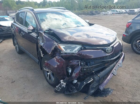 2T3RFREV0GW415422 2016 TOYOTA RAV4 Burgundy 
