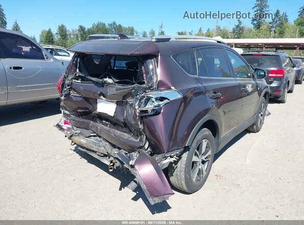 2T3RFREV0GW465382 2016 TOYOTA RAV4 Purple Trasero derecho