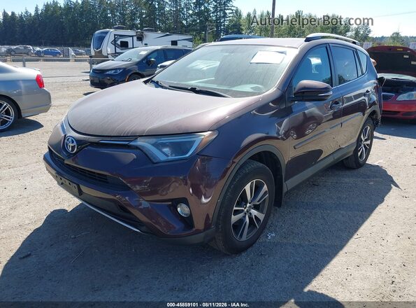 2T3RFREV0GW465382 2016 TOYOTA RAV4 Purple Vista tres cuartos delantera izquierda