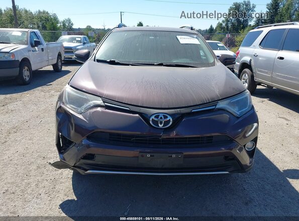 2T3RFREV0GW465382 2016 TOYOTA RAV4 Purple Vista interior trasera