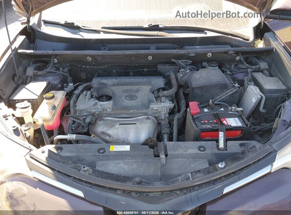 2T3RFREV0GW465382 2016 TOYOTA RAV4 Purple Vista trasera