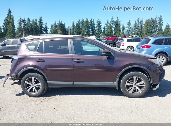 2T3RFREV0GW465382 2016 TOYOTA RAV4 Purple Vista interior de 360 grados