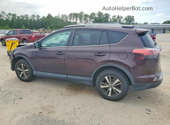 2T3RFREV0HW552460 2017 TOYOTA RAV4 Purple უკანა მარცხენა