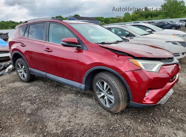 2T3RFREV0JW804584 2018 TOYOTA RAV4 Red Առջևի աջ