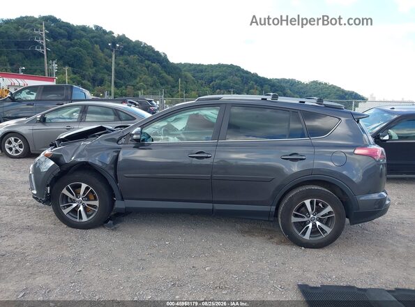 2T3RFREV3HW593598 2017 TOYOTA RAV4 Gray Widok wnętrza 360 stopni