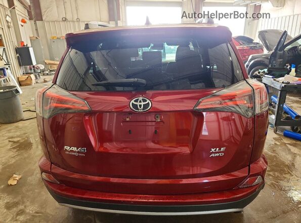 2T3RFREV3JW855500 2018 TOYOTA RAV4 Красный Вид сзади