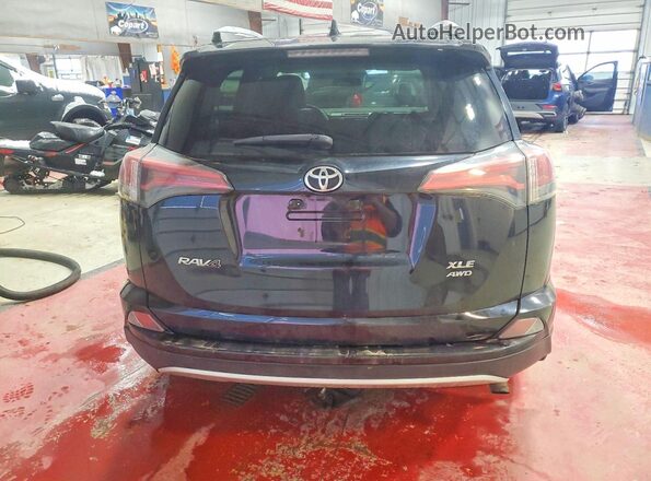 2T3RFREV4GW440064 2016 TOYOTA RAV4 Черный Вид сзади