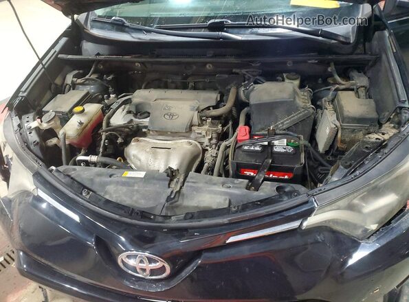 2T3RFREV4GW440064 2016 TOYOTA RAV4 Черный Вид задней части салона