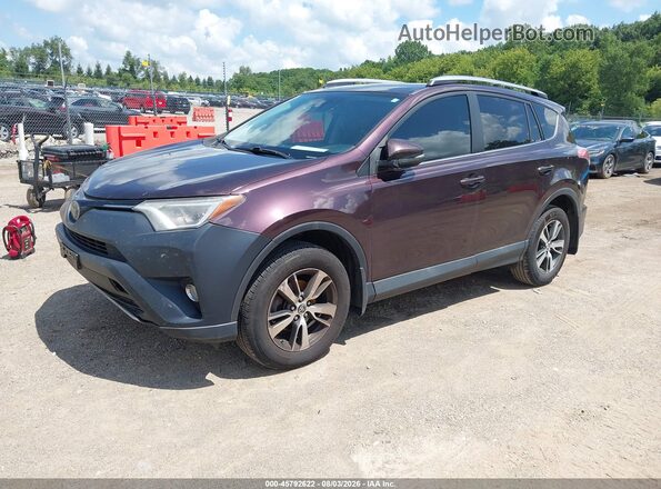 2T3RFREV6HW671095 2017 TOYOTA RAV4 Purple Передня ліва чверть