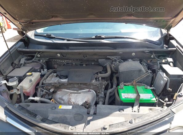 2T3RFREV6HW671095 2017 TOYOTA RAV4 Purple Вид ззаду