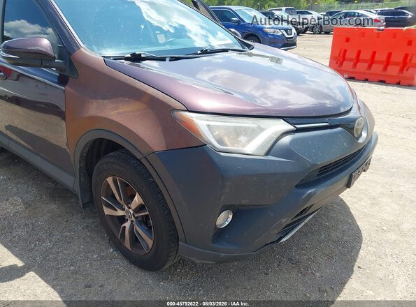 2T3RFREV6HW671095 2017 TOYOTA RAV4 Purple Вид спереду