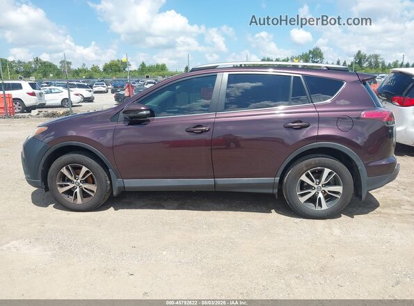2T3RFREV6HW671095 2017 TOYOTA RAV4 Purple Панорамний вид салону 360°