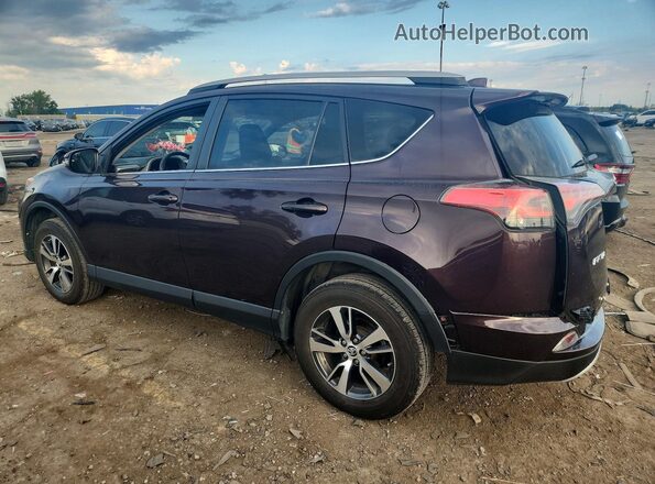 2T3RFREV7GW453892 2016 TOYOTA RAV4 Purple Հետևի ձախ
