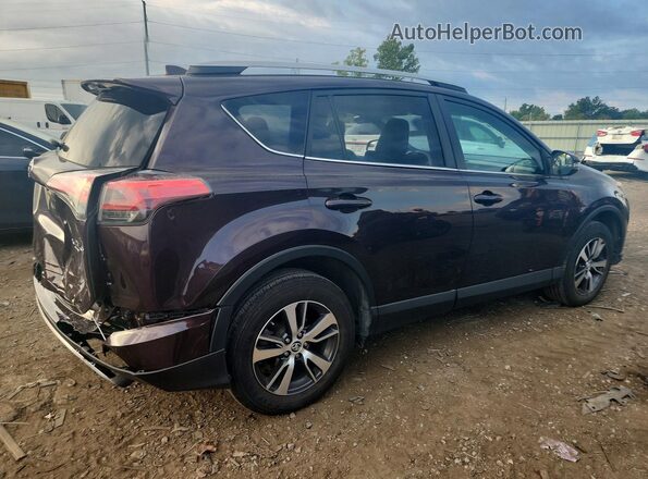 2T3RFREV7GW453892 2016 TOYOTA RAV4 Purple Հետևի աջ
