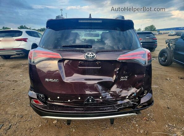 2T3RFREV7GW453892 2016 TOYOTA RAV4 Purple Հետևի տեսք
