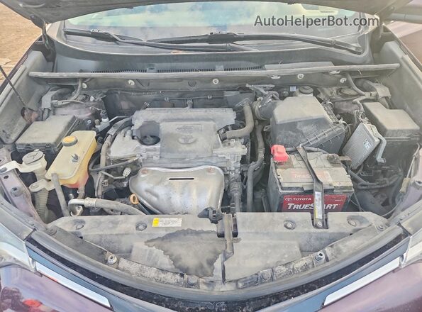 2T3RFREV7GW453892 2016 TOYOTA RAV4 Purple Սալոնի հետևի տեսք