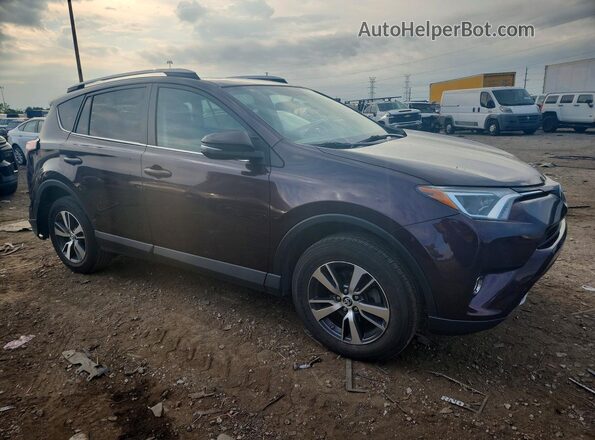 2T3RFREV7GW453892 2016 TOYOTA RAV4 Purple Առջևի աջ