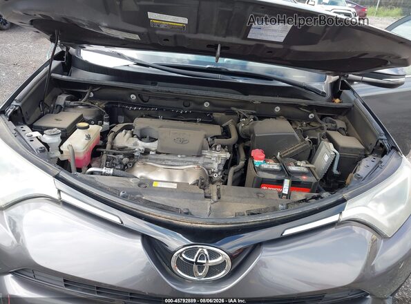 2T3RFREV7GW500290 2016 TOYOTA RAV4 Gray Widok z tyłu