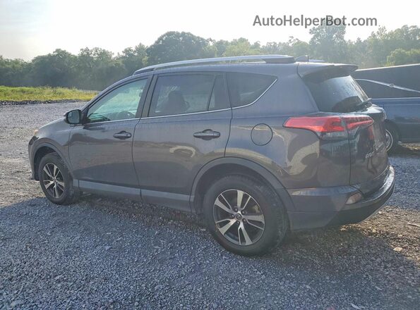 2T3RFREV8GW500136 2016 TOYOTA RAV4 Gray Հետևի ձախ