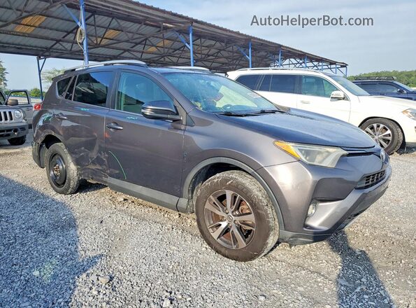 2T3RFREV8GW500136 2016 TOYOTA RAV4 Gray Առջևի աջ