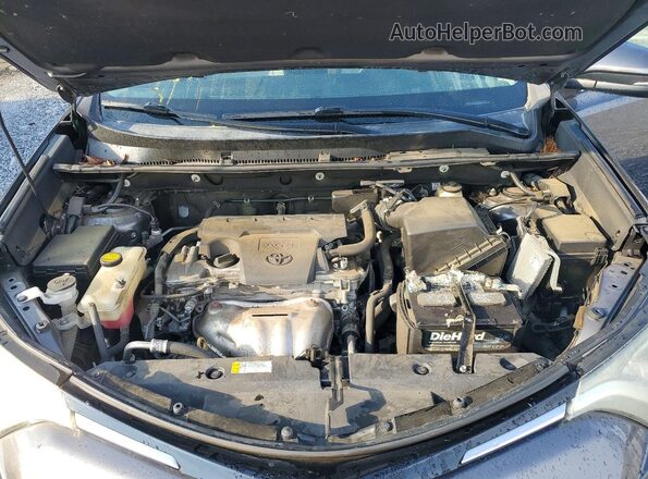 2T3RFREV8GW500136 2016 TOYOTA RAV4 Gray Սալոնի հետևի տեսք
