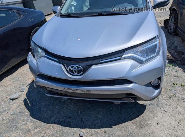 2T3RFREV8GW513694 2016 TOYOTA RAV4 Серый Вид спереди